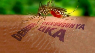 Primul caz de infectare cu Zika în China