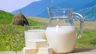Producătorii de lactate cer o serie de măsuri pentru ieșirea din criză