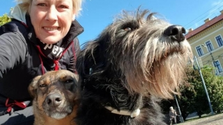 Protest olandez în favoarea câinilor fără stăpân din România