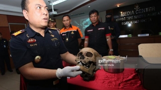 Craniu de om, găsit în faţa unui bar din Amsterdam