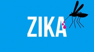 Recomandări stricte pentru a preveni transmiterea sexuală a virusului Zika