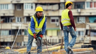 Șase din zece companii românești vor să angajeze imigranți