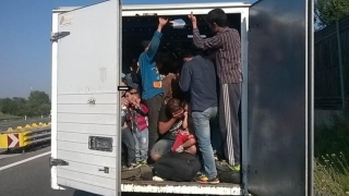 Român arestat în Cehia pentru transport ilegal de imigranți