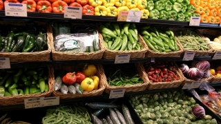 Rusia ar putea prelungi interdicţia la importurile alimentare până la finalul anului 2017