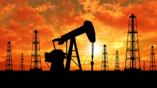 Şase companii petroliere, acuzate în Bulgaria de acorduri-cartel la preţurile carburanţilor