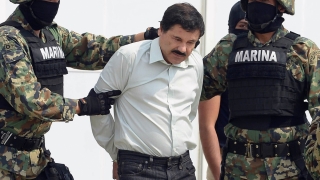 Sony se bate cu Fox în... filme despre celebrul „El Chapo“ Guzmán