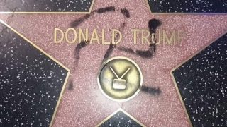 Steaua lui Donald Trump de la Hollywood a fost vandalizată
