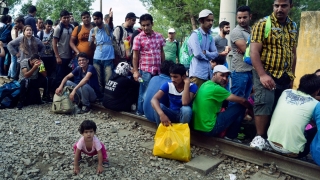 Sute de imigranţi blocaţi între Serbia şi Ungaria