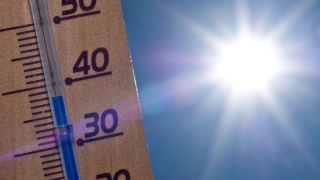 Temperaturi în creștere, în Dobrogea