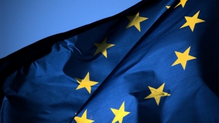 UE cere Kievului să fie consultată cu privire la Legea educației