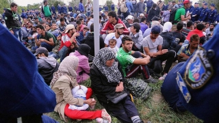 „UE vrea să reducă puterile statelor membre în privința crizei imigranților“