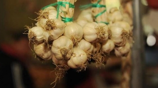 Cultivatorii de usturoi vor beneficia de sprijin începând din acest an
