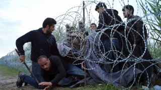 Ungaria construieşte încă un gard la graniţa cu Serbia! Preventiv!