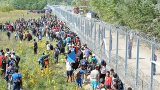 Departamentul de Stat critică Ungaria pentru gestionarea situației migranților și a solicitanților de azil