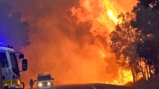Un oraş din vestul Australiei, distrus de un uriaş incendiu de vegetaţie