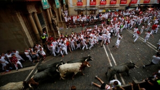 Zece răniți, sâmbătă, la tradiționalele curse cu tauri și alergători de la Pamplona