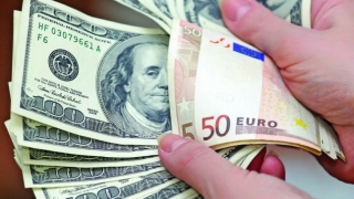 Leul crește față de euro dar se depreciază față de dolarul american