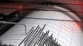Cutremur produs în zona seismică Vrancea