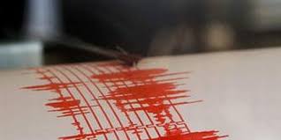 Un cutremur cu magnitudinea de 3,7 pe scara Richter a avut loc în Vrancea