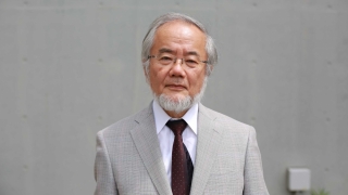 Yoshinori Ohsumi a câștigat Premiul Nobel pentru Medicină