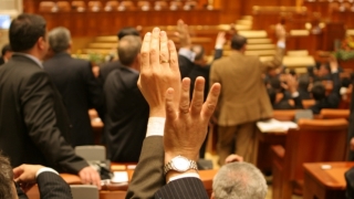 Camera Deputaţilor a adus noi modificări la legea contravenţiilor silvice