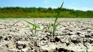 Ziua mondială pentru combaterea deşertificării şi a secetei. România, afectată de fenomen