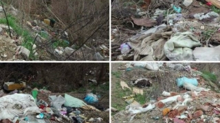 ALARMANT! România - ţara deşeurilor aruncate în natură