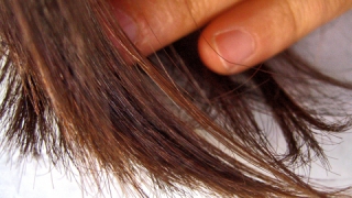 Oamenii ar putea fi identificaţi, în viitor, după un singur fir de păr