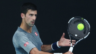 Novak Djokovic va reveni în circuit în turneul de la Acapulco