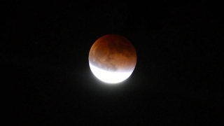Eclipsă de lună, vizibilă din România, în noaptea de marţi spre miercuri