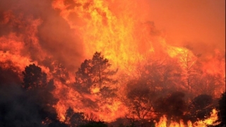 Peste 82.000 de persoane, evacuate din cauza unui incendiu de vegetație