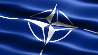 Finlandezii nu vor să intre în NATO