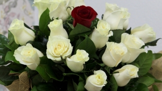 Contactează o florărie online și pregătește-i o surpriză de neuitat!