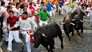 Cursa cu tauri de la Pamplona a debutat cu multiple victime