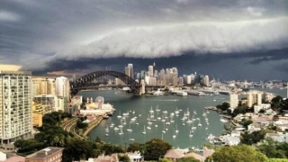Primul sistem din lume de avertizare contra „astmului provocat de furtună“, în Australia