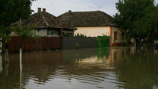 Inundații în trei localități din județul Timiș  în urma unor ploi abundente
