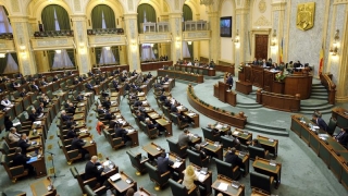 Senat: Introducerea pe ordinea de zi a proiectului privind alegerea primarilor în două tururi, respinsă