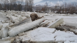 Un cerb blocat în albia râului Bistrița a fost salvat de pompieri