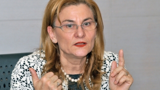 Maria Grapini se retrage din toate funcțiile deținute în cadrul PPU-SL