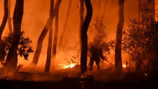 Incendii în Grecia: Aerul a devenit aproape irespirabil la Atena