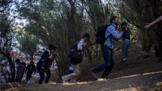 Grecia ar fi deportat din greșeală solicitanți de azil