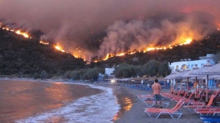 Tragedie în Grecia. Incendiile au luat zeci de vieți și-au distrus localități
