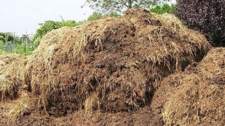Precizări referitoare la amenajările pentru depozitarea gunoiului de grajd în exploatațiile agricole