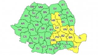 Cod galben de vijelii în mai multe zone din țară, printre care și Dobrogea