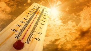 Luna ianuarie 2016, cea mai caldă de la începerea măsurătorilor meteorologice