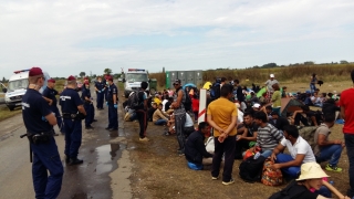 Consiliul Europei solicită Ungariei să nu recurgă la rele tratamente contra migranților