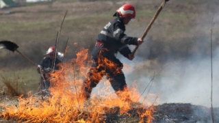 Pompierii se luptă de peste 17 ore cu un incendiu de vegetație