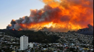 Cel puțin nouă morți, în urma incendiilor de vegetație din Chile