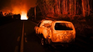 Incendiu de pădure în Portugalia: mesaj de condoleanțe de la Iohannis