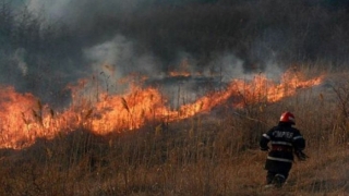 Polițiștii de frontieră și sătenii s-au luptat cu flăcările în Periprava